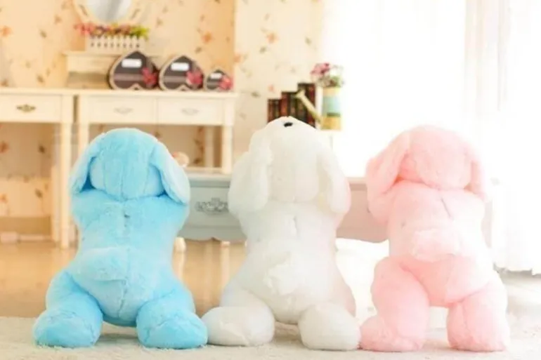 50 cm leuchtendes Hundeplüschspielzeug für Kinder