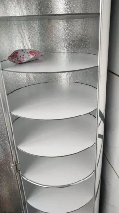 360° drehbares Schuhregal – Desinfektions-Organizer für Schuhe