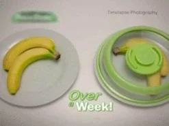 Abdeckung für sofortiges Vakuumieren von Lebensmitteln – einfache Aufbewahrungslösung