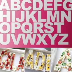 Alphabet-Kuchenformen-Set – DIY-PET-Backformen für kreative Desserts