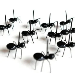 Ameisenfutter-Obsthalter - 12er-Packung Wichtige Ameisenpflegeartikel