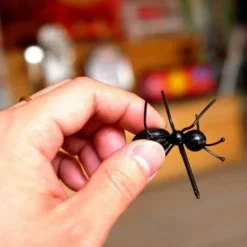 Ameisenfutter-Obsthalter - 12er-Packung Wichtige Ameisenpflegeartikel