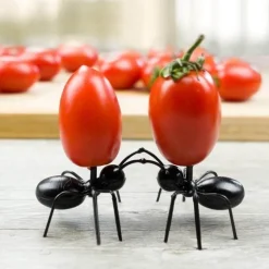 Ameisenfutter-Obsthalter - 12er-Packung Wichtige Ameisenpflegeartikel