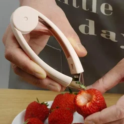 Ananasschäler, Erdbeerkernentferner – Obst-Küchenwerkzeuge