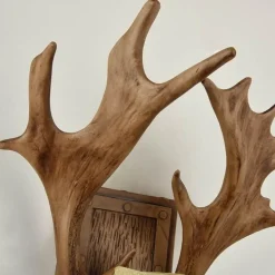 Antique Wooden Antler Wall Light - Rustic Home Decor