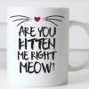 Are You Kitten Me Keramiktasse - Lustige Katzen-Kaffeetasse