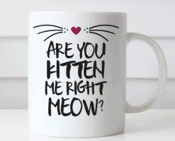 Are You Kitten Me Keramiktasse - Lustige Katzen-Kaffeetasse