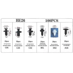 Auto-Befestigungsstift-Nietclip-Kit - 100-teiliges Stoßstangenzubehör
