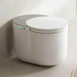 Automatische Bidet-Toilette – Sofortheizung mit Fernbedienung