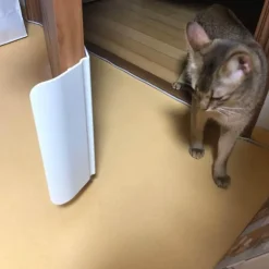 Automatischer Haustiertüröffner – Bequemer und sicherer Zugang für Haustiere