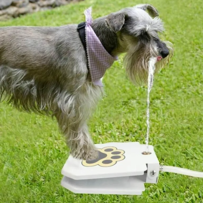 Automatischer Hundetrinkbrunnen - Trinkspender für Haustiere