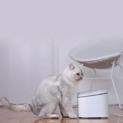 Automatischer Wasserspender für Haustiere – Intelligentes Bewässerungssystem für Haustiere