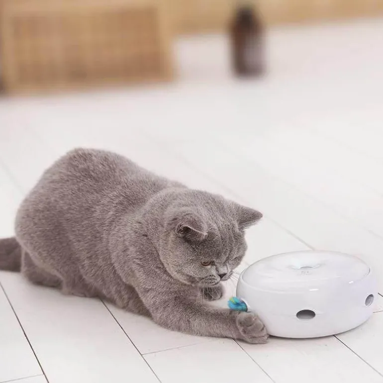 Automatisches Katzenspielzeug – Interaktives Drehspiel für Katzen