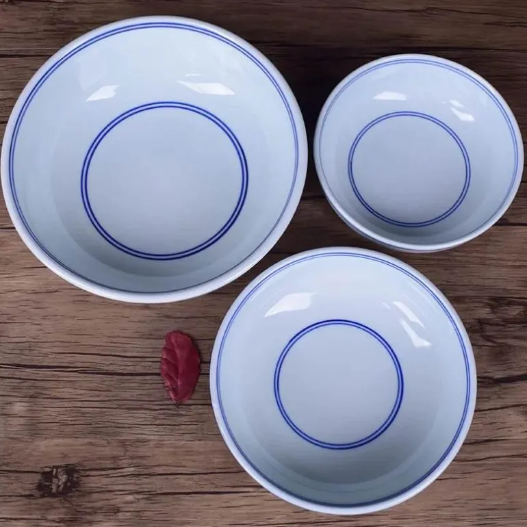 Blau-weiße chinesische Nudelschüssel aus Porzellan – elegantes Keramikgeschirr zum Essen