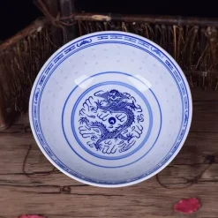 Blau-weiße Ramen-Schüssel aus Porzellan mit Drachenmuster