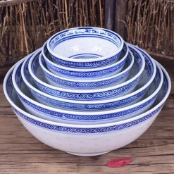 Blau-weiße Ramen-Schüssel aus Porzellan mit Drachenmuster