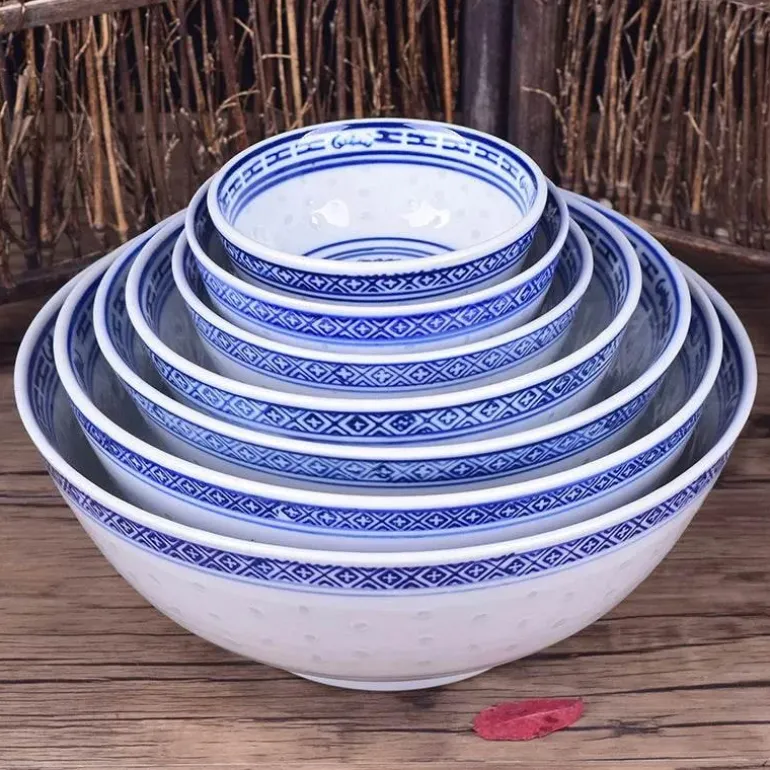 Blau-weiße Ramen-Schüssel aus Porzellan mit Drachenmuster