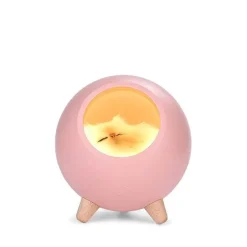 Bluetooth-Nachtlichtlautsprecher - Tragbare mehrfarbige LED-Lampe