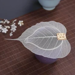 Bodhi Leaf Tee-Ei-Set – 2 kreative Filter