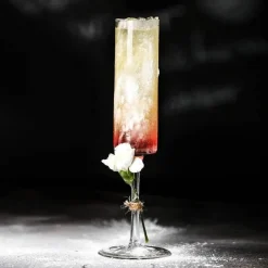 Bubble Champagnergläser - Kreative Cocktailkelche 2er Set