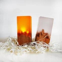 Chargeable LED Night Light - Solid Wood Lamp