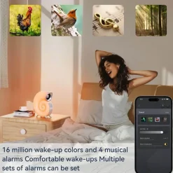 Conch Shell Tischlampe - Küsten-Strandhausbeleuchtung