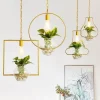 Contemporary Hanging Decorative Lights - Modern Ceiling Fixtures