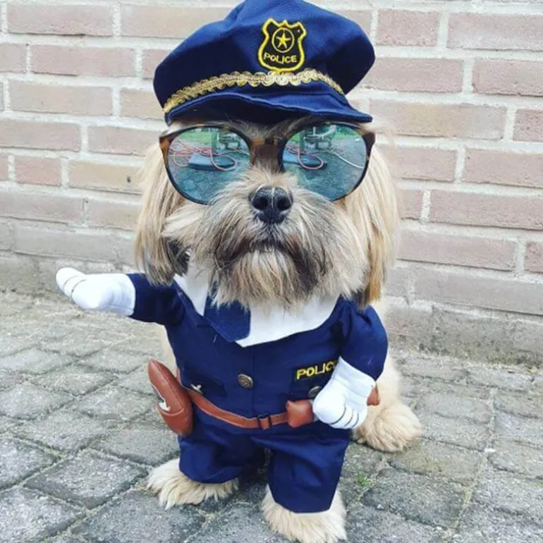 Cop-Hundekostüm – Entzückendes Polizisten-Outfit für Haustiere