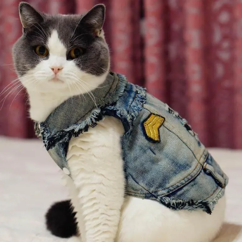 Denim Cowboyjacke für Hunde - Stylischer Western-Haustiermantel