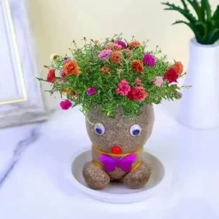 DIY Pflanzbare Puppe – Umweltfreundliches Pflanzenkopf-Spielzeug