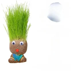 DIY Pflanzbare Puppe – Umweltfreundliches Pflanzenkopf-Spielzeug