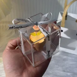 DIY Rose Glow Nachtlampe - Kreativer Wohndekor-Akzent