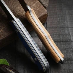 Edelstahlmesser mit robustem Holzgriff