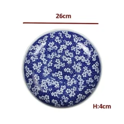 Edler blau-weißer Servierteller aus Porzellan – chinesisches Geschirr für Pasta und Braten