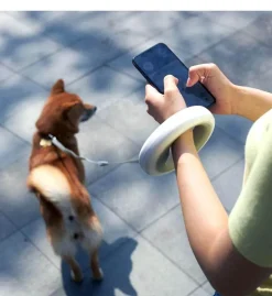 Einziehbare, wiederaufladbare LED-Hundeleine – beleuchtete Haustierleine