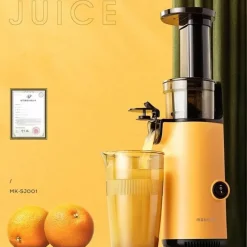 Elektrischer Entsafter - Automatische Saftpresse