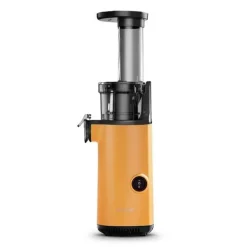 Elektrischer Entsafter - Automatische Saftpresse