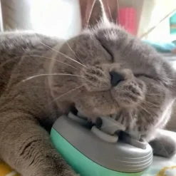Elektrischer Katzenmassager - Entspannendes Katzenmassagegerät
