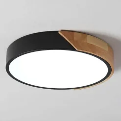 Energy Efficient Modern LED Ceiling Light Fixture