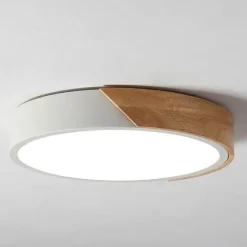 Energy Efficient Modern LED Ceiling Light Fixture