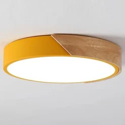 Energy Efficient Modern LED Ceiling Light Fixture