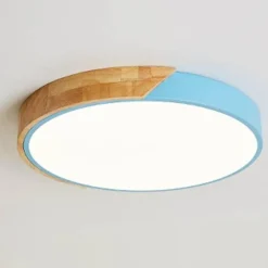 Energy Efficient Modern LED Ceiling Light Fixture