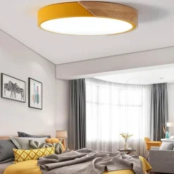 Energy Efficient Modern LED Ceiling Light Fixture