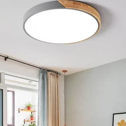 Energy Efficient Modern LED Ceiling Light Fixture