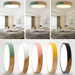 Energy Efficient Modern LED Ceiling Light Fixture