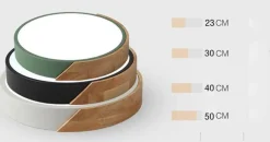 Energy Efficient Modern LED Ceiling Light Fixture