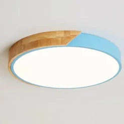 Energy Efficient Modern LED Ceiling Light Fixture