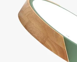 Energy Efficient Modern LED Ceiling Light Fixture