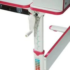 Ergonomic Kids Desk - Adjustable Smart Design for Comfortable Study