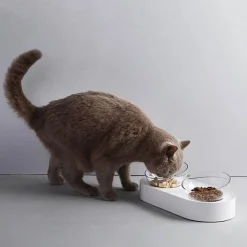 Erhöhter Futternapf für Haustiere – Verstellbare Hunde- und Katzennäpfe